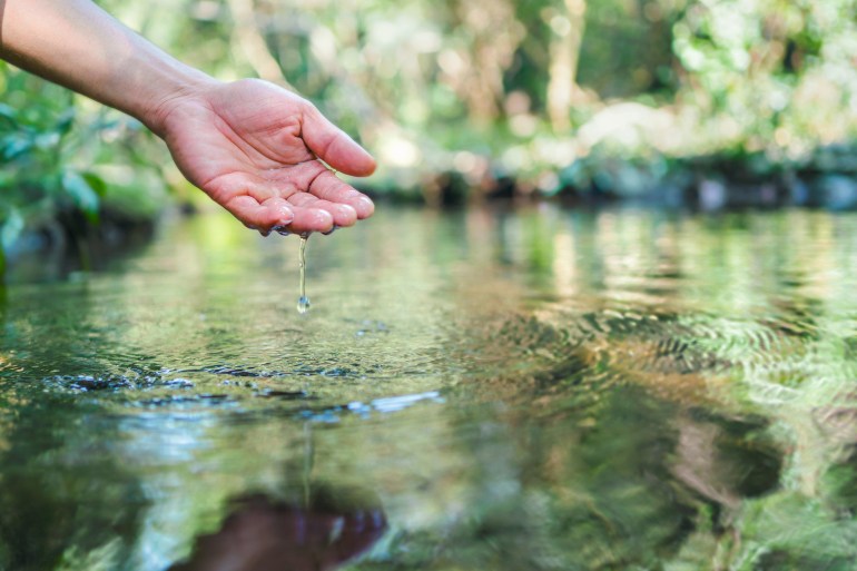 hand touches water in the pond