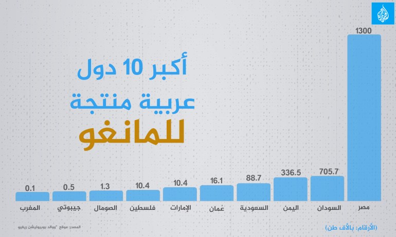 أكبر 10 دول عربية منتجة للمانغو